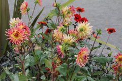 6 jardin Eveque (6)